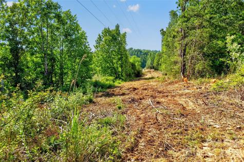 3361 Bethlehem Road Old Fort NC 28762
