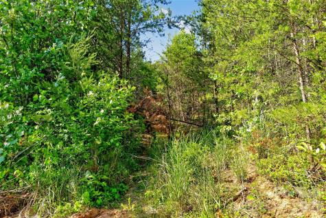 3361 Bethlehem Road Old Fort NC 28762