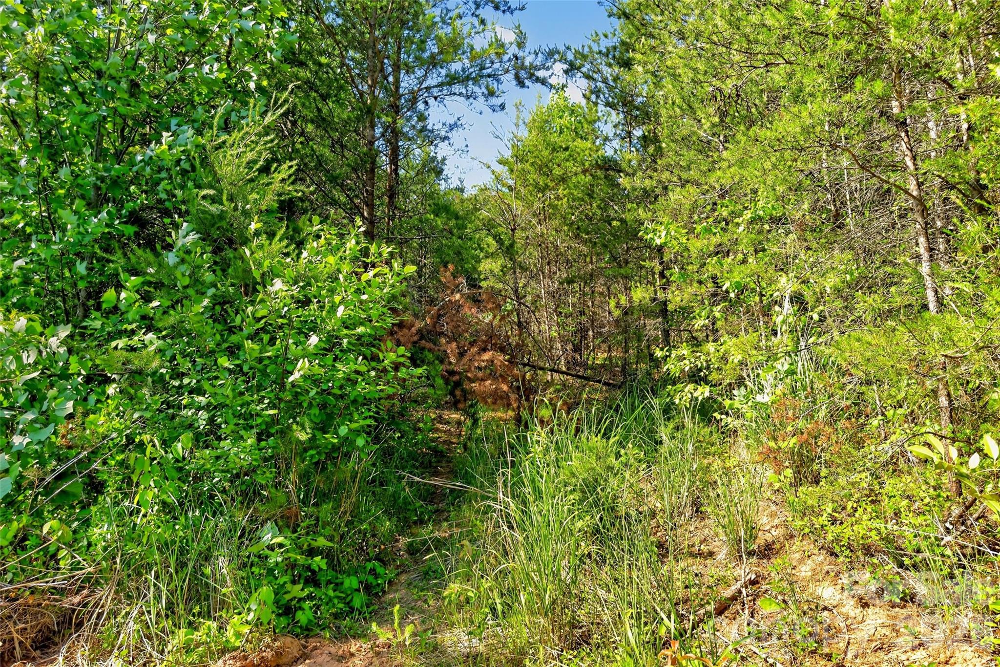 3361 Bethlehem Road Old Fort NC 28762