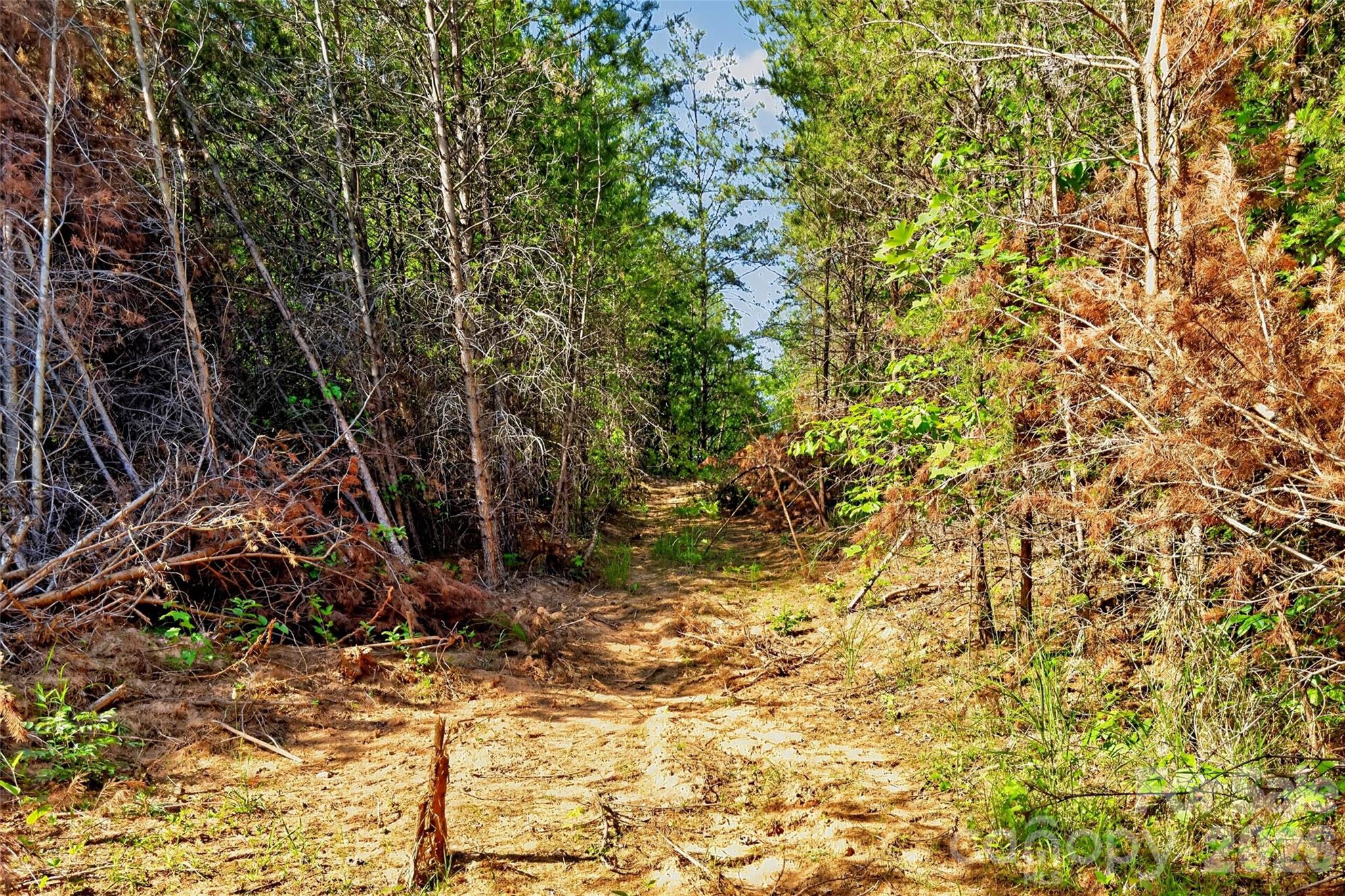 3361 Bethlehem Road Old Fort NC 28762