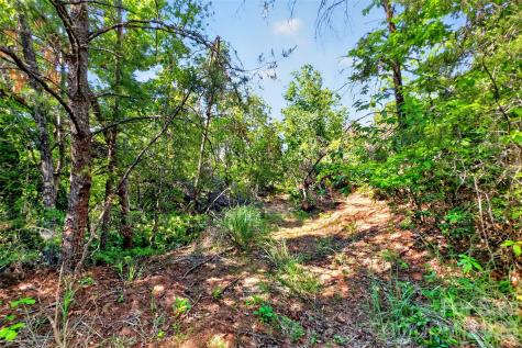 3361 Bethlehem Road Old Fort NC 28762