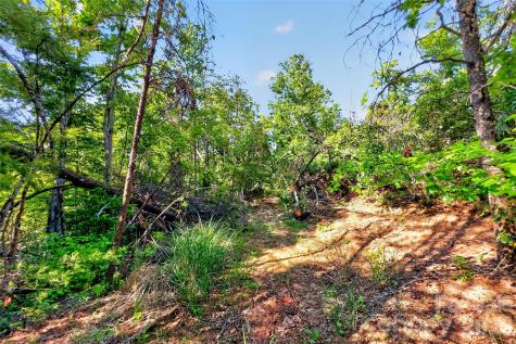 3361 Bethlehem Road Old Fort NC 28762