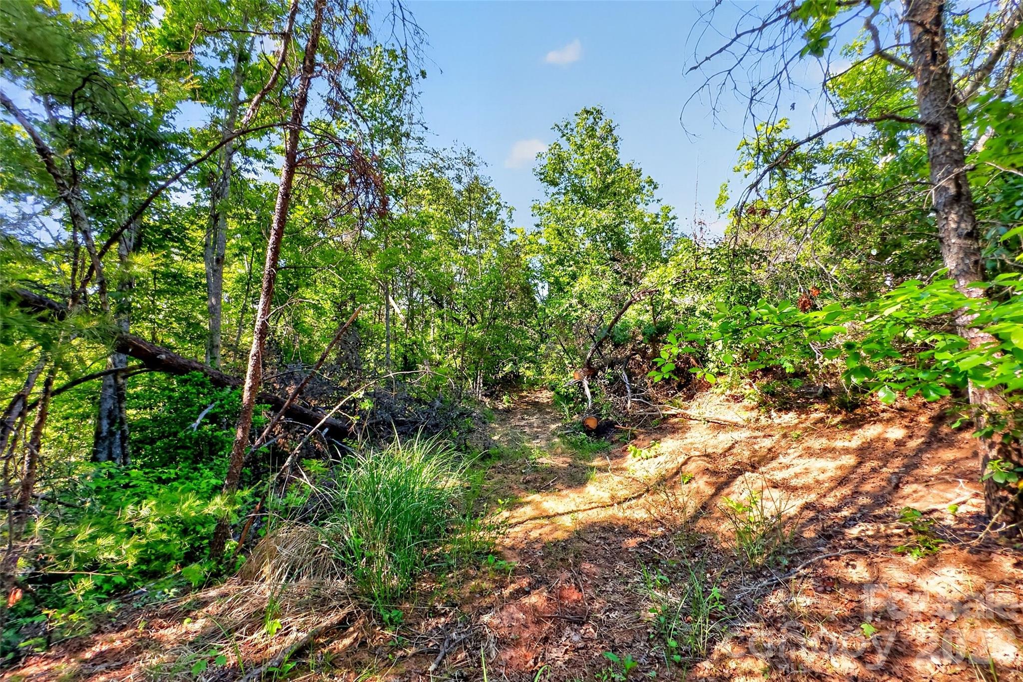 3361 Bethlehem Road Old Fort NC 28762