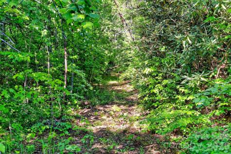 3361 Bethlehem Road Old Fort NC 28762