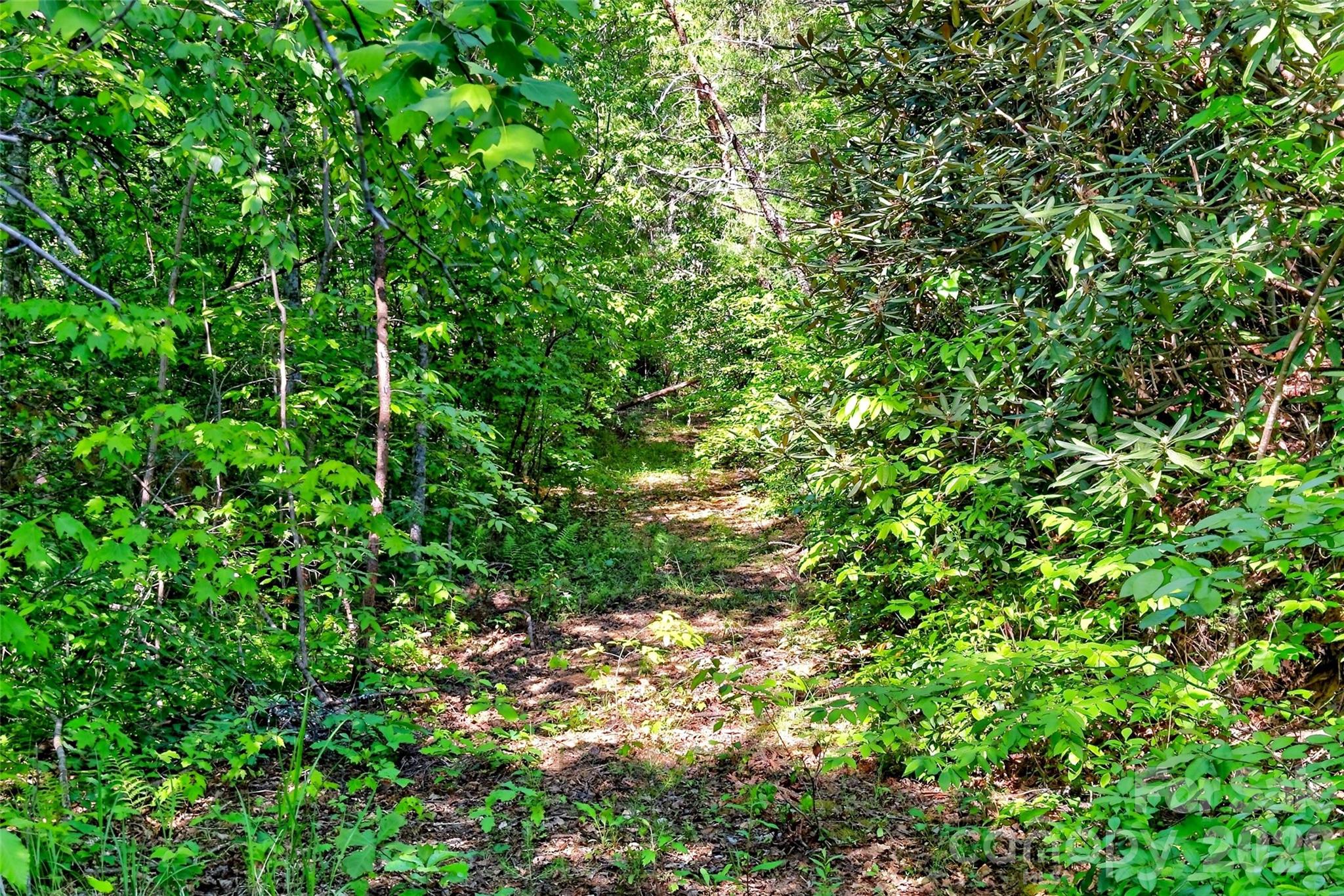 3361 Bethlehem Road Old Fort NC 28762