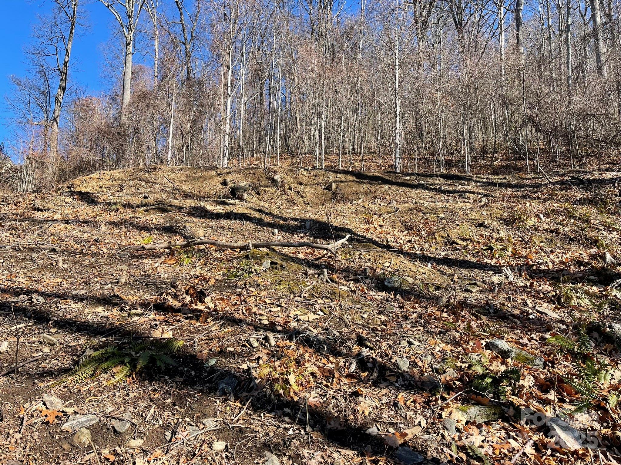 362 Equestrian Drive Waynesville NC 28786