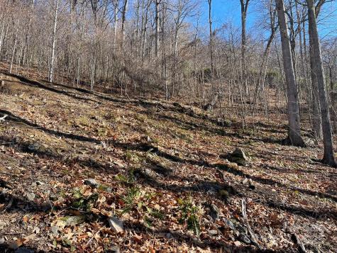 362 Equestrian Drive Waynesville NC 28786