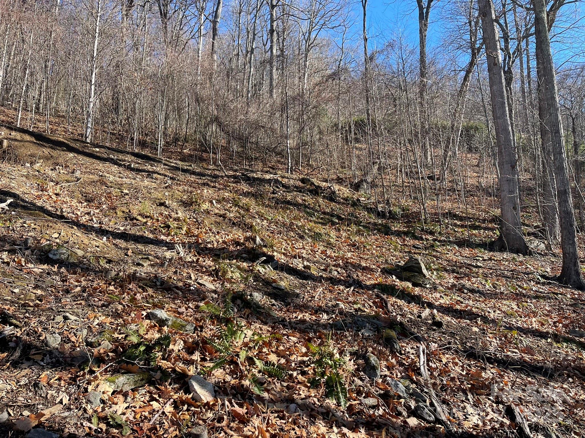 362 Equestrian Drive Waynesville NC 28786