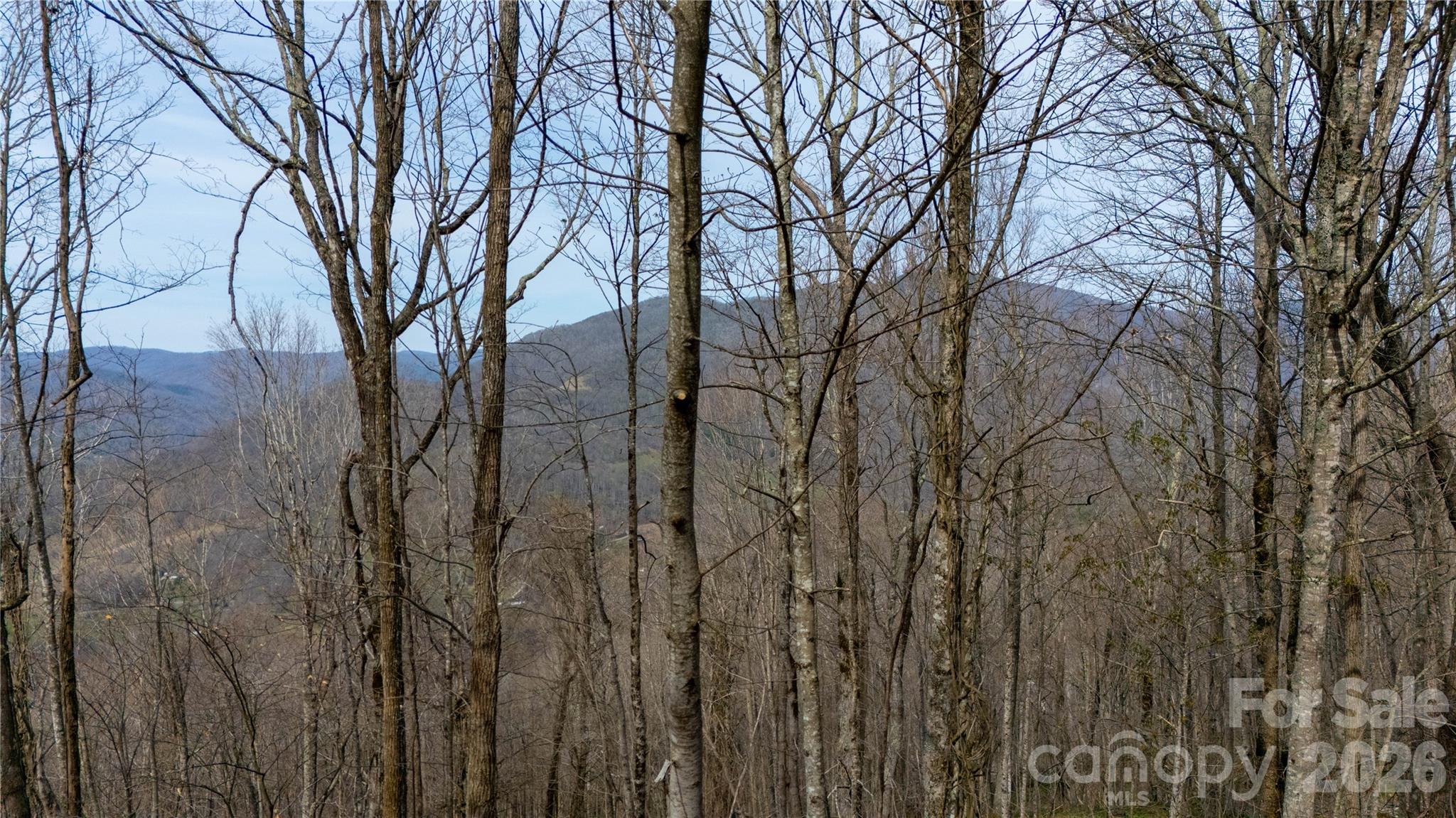 000 Tyler Lane Bakersville NC 28705
