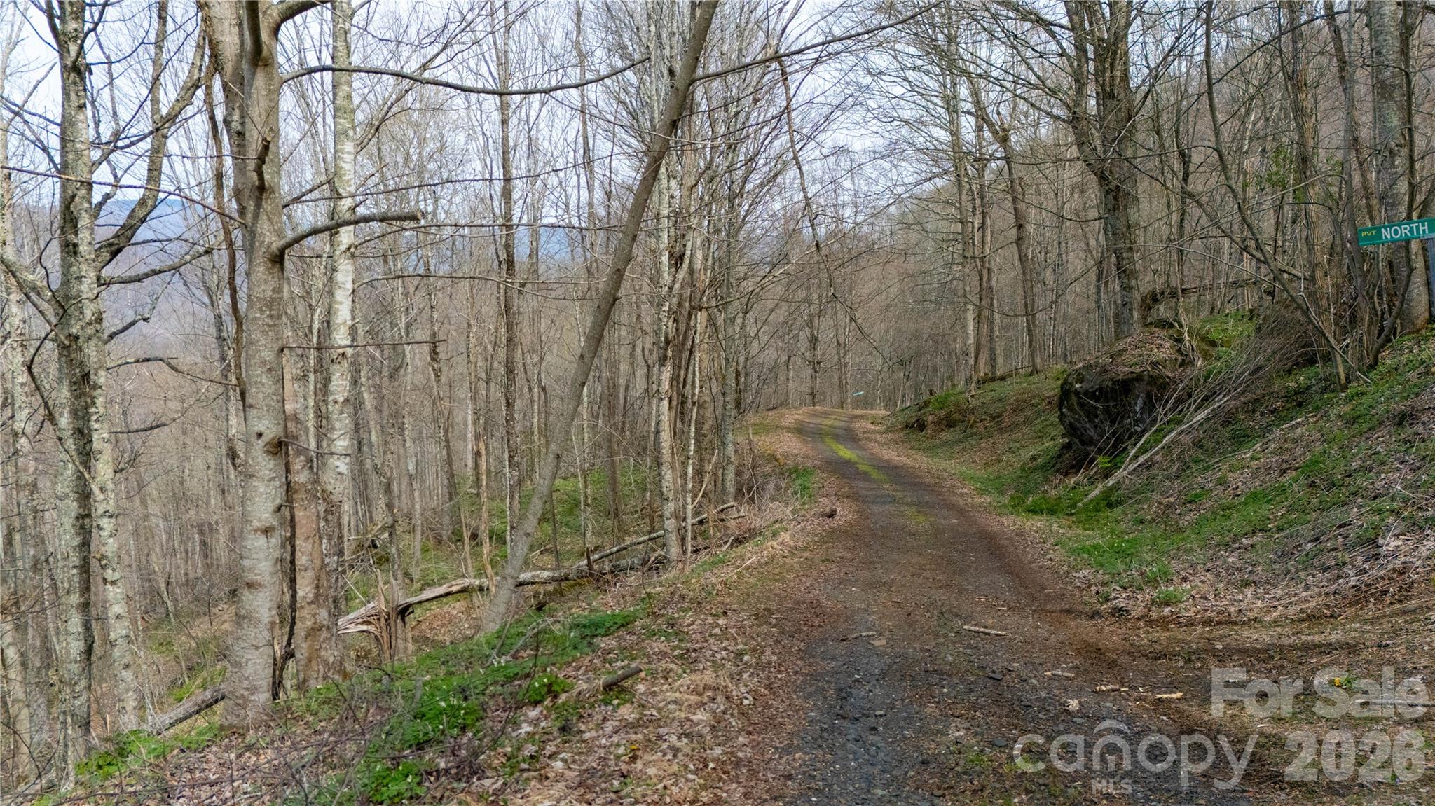 000 Tyler Lane Bakersville NC 28705