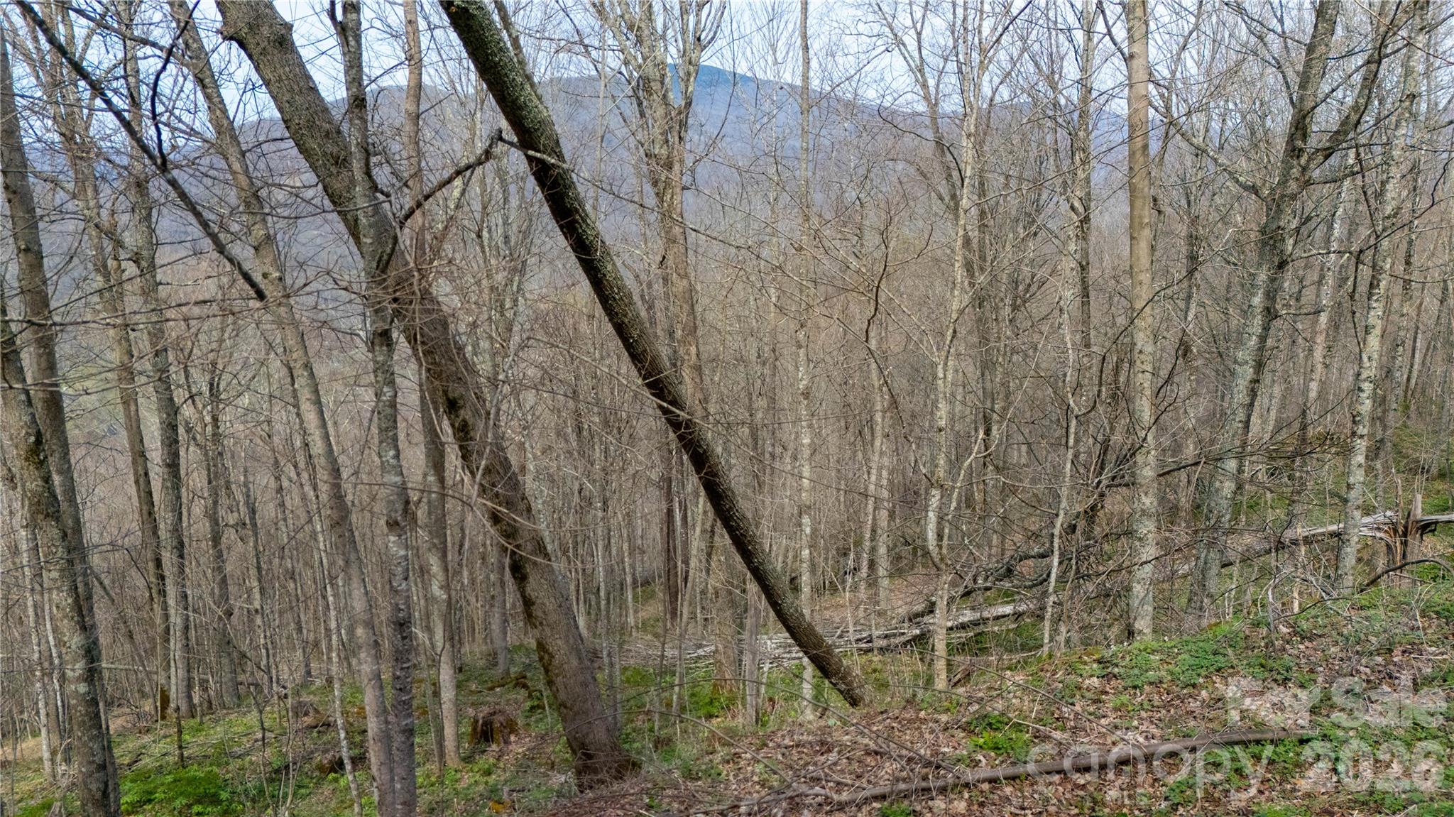 000 Tyler Lane Bakersville NC 28705