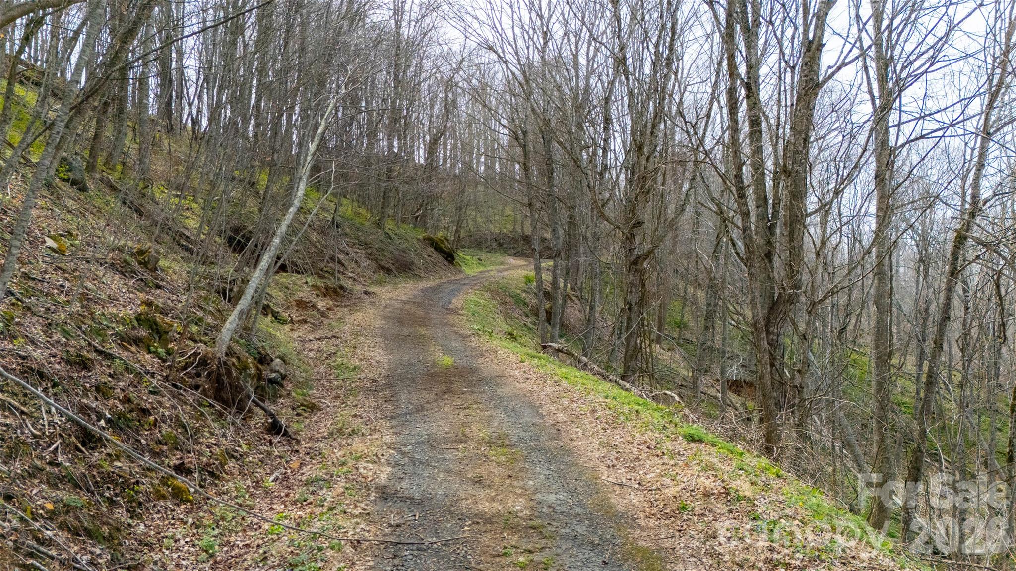 000 Tyler Lane Bakersville NC 28705