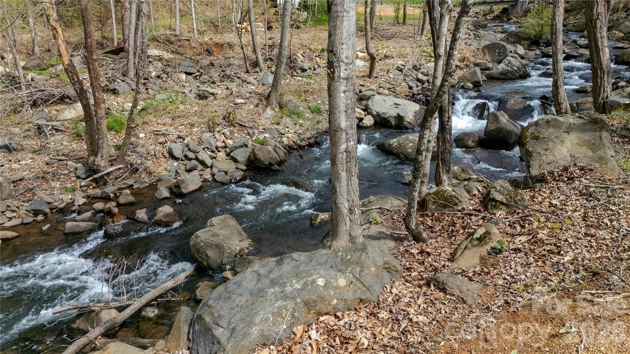 000 Tyler Lane Bakersville NC 28705