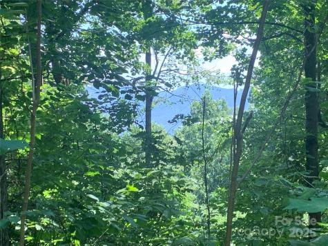 1915 Creston Drive Black Mountain NC 28711