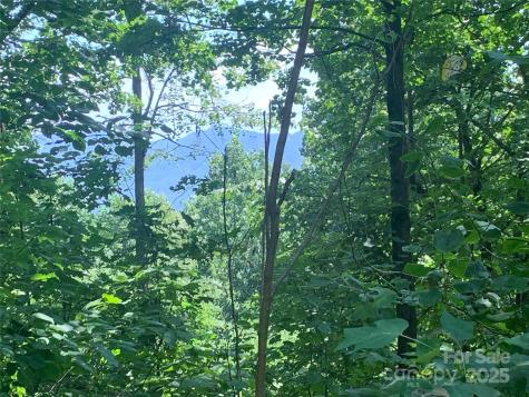 1915 Creston Drive Black Mountain NC 28711