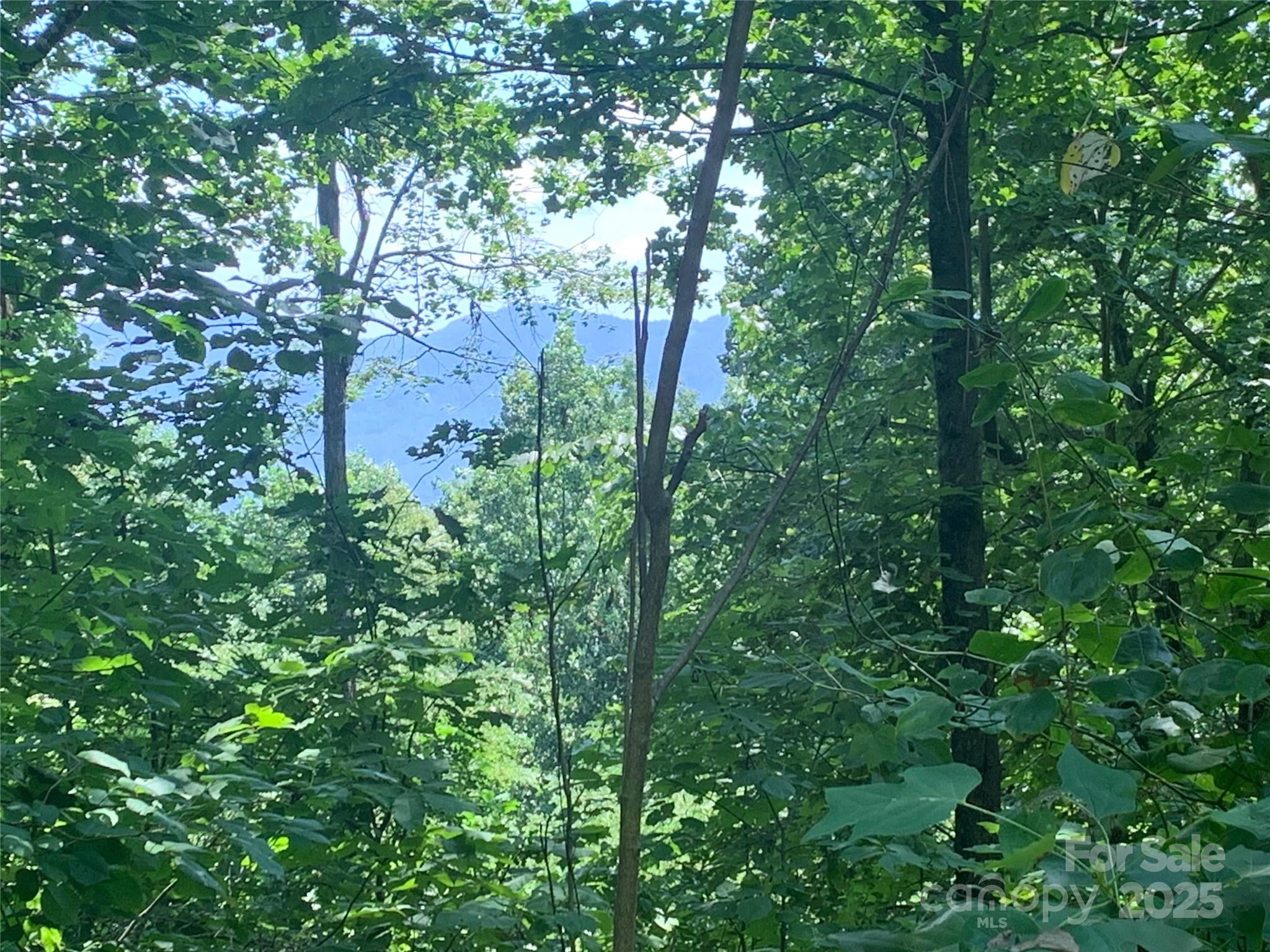 1915 Creston Drive Black Mountain NC 28711