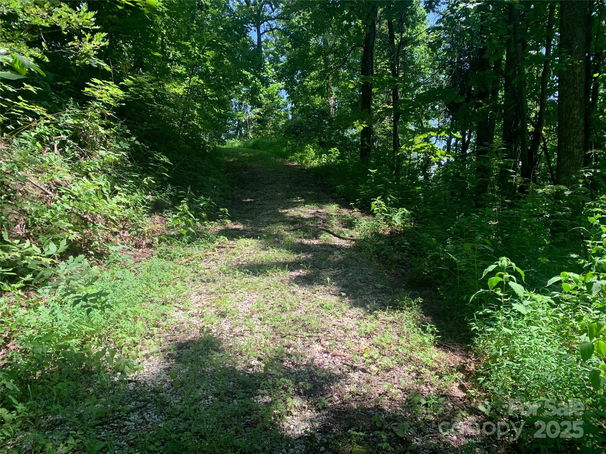 1915 Creston Drive Black Mountain NC 28711