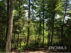 91 Smokey Ridge Trail Arden NC 28704