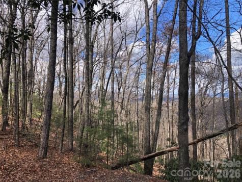 Tbd Bobcat Mountain Road Purlear NC 28665