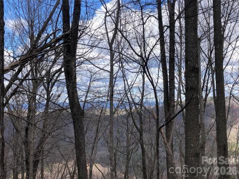 Tbd Bobcat Mountain Road Purlear NC 28665