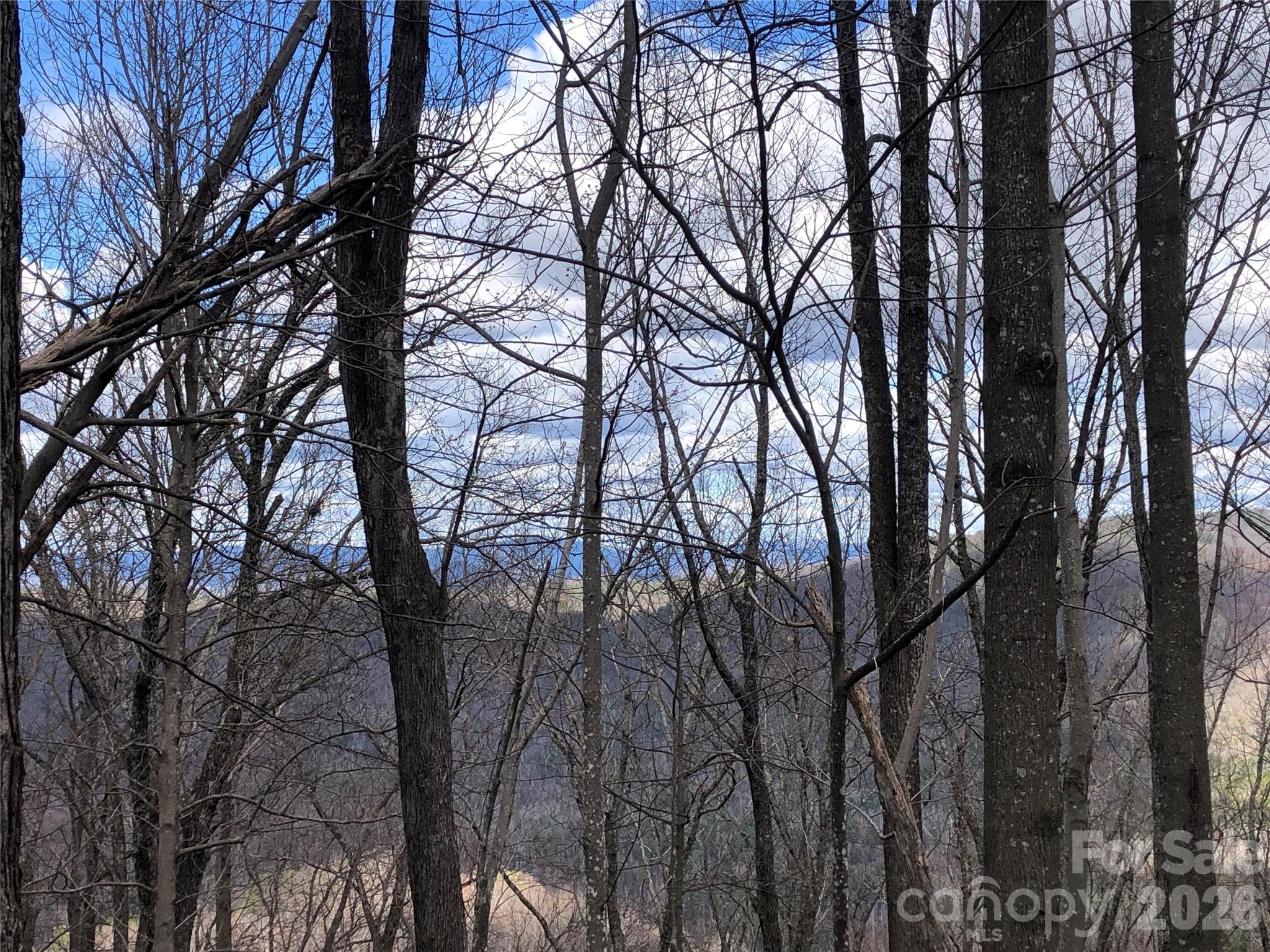 Tbd Bobcat Mountain Road Purlear NC 28665