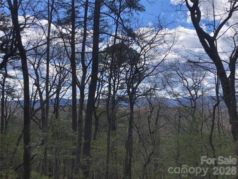 Tbd Bobcat Mountain Road Purlear NC 28665