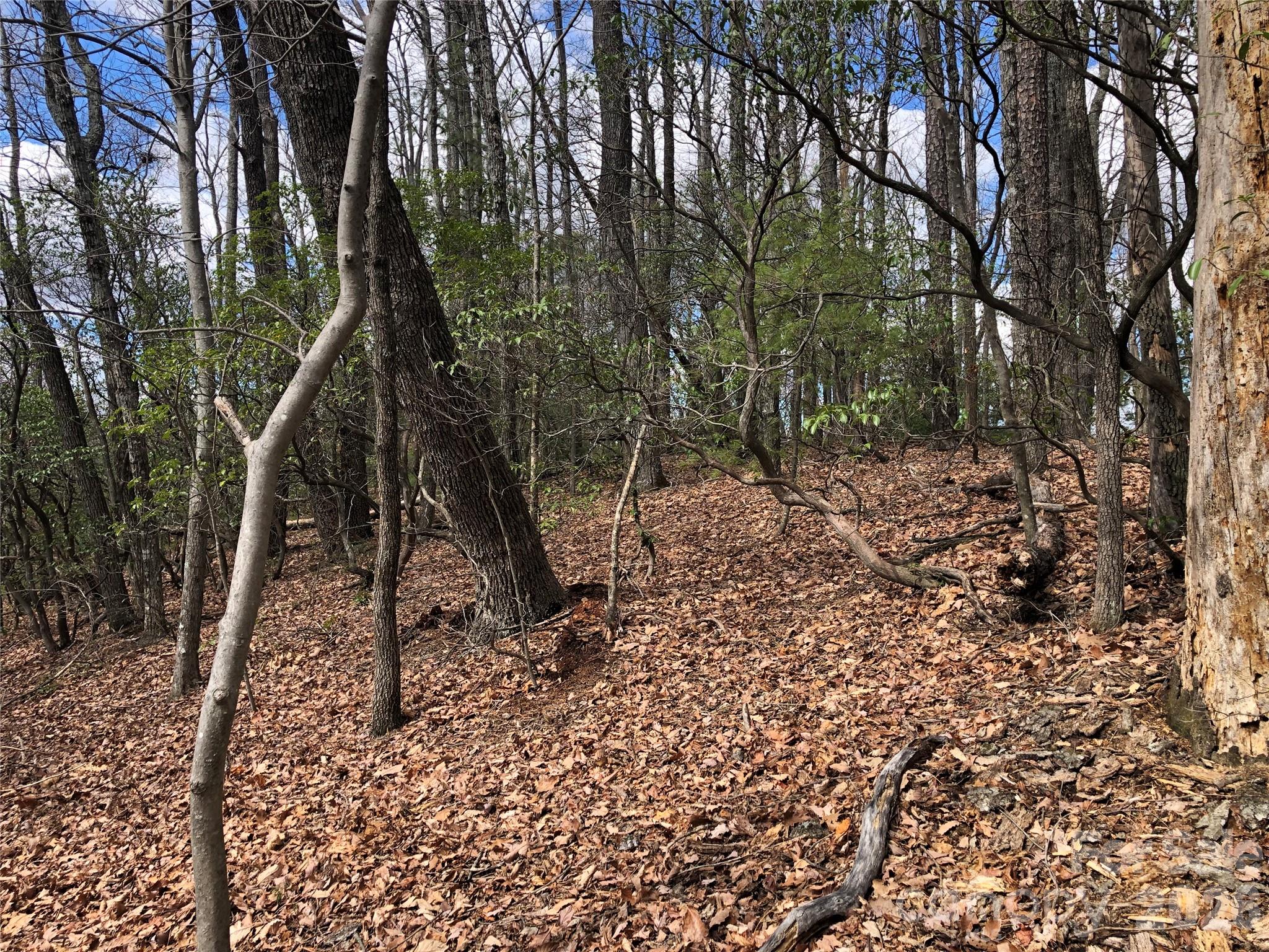 Tbd Bobcat Mountain Road Purlear NC 28665