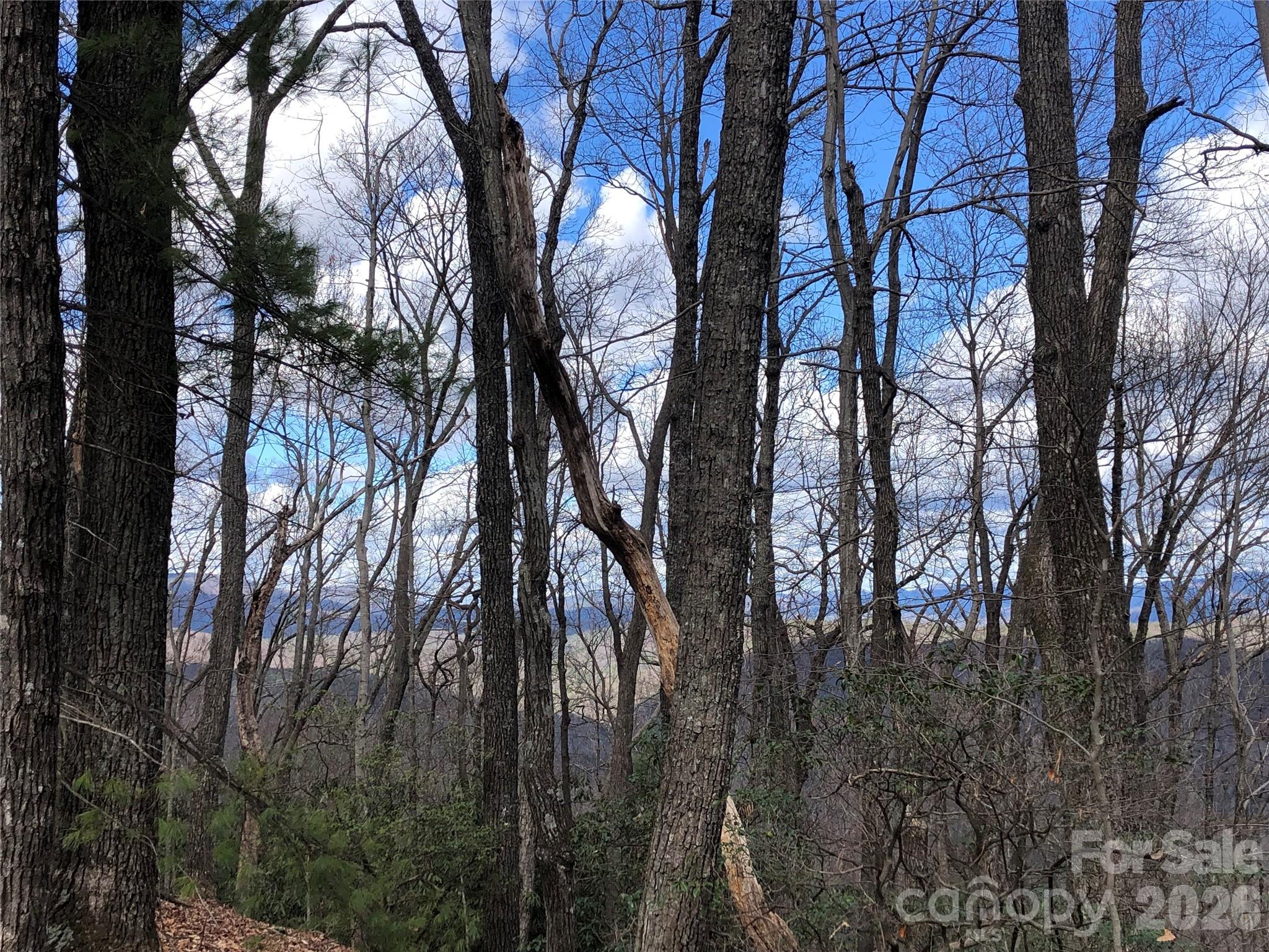 Tbd Bobcat Mountain Road Purlear NC 28665