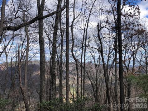Tbd Bobcat Mountain Road Purlear NC 28665