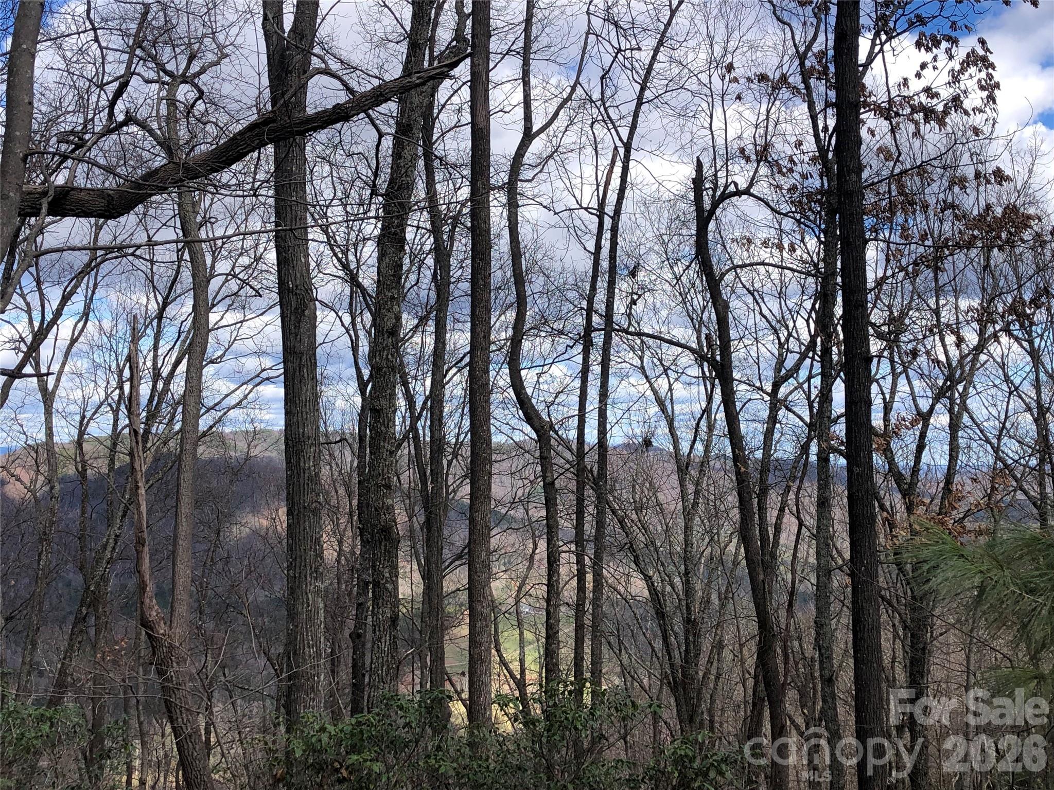 Tbd Bobcat Mountain Road Purlear NC 28665