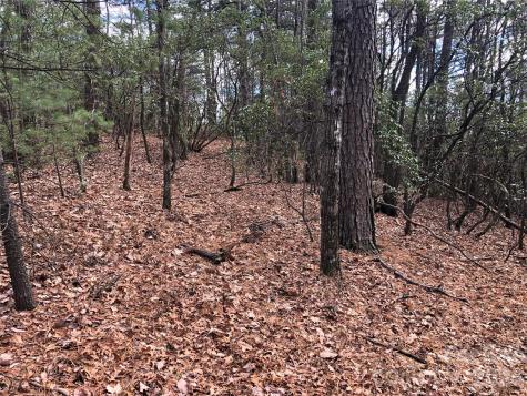 Tbd Bobcat Mountain Road Purlear NC 28665
