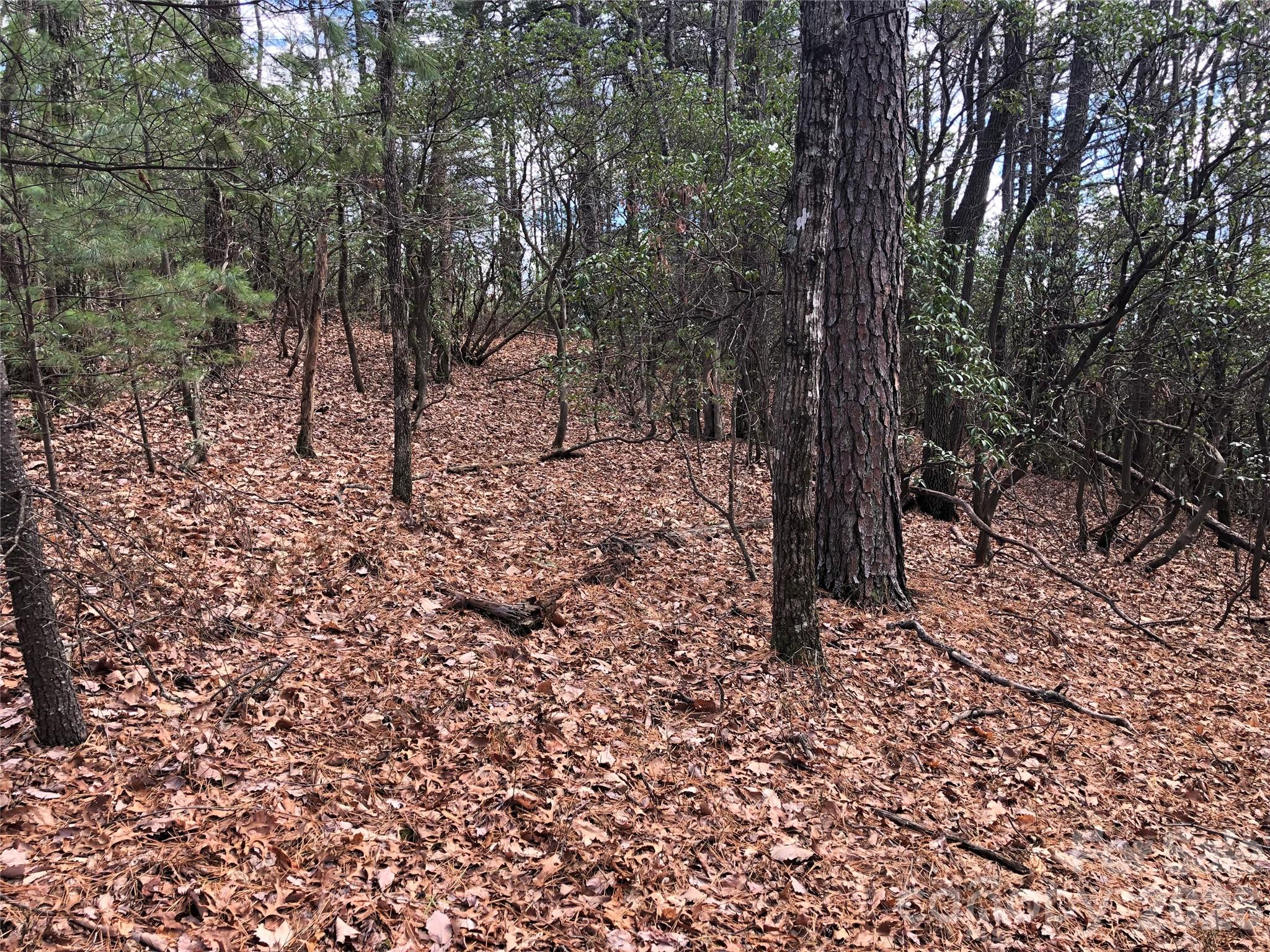 Tbd Bobcat Mountain Road Purlear NC 28665
