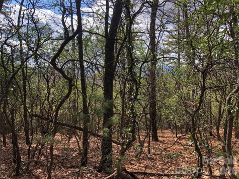 Tbd Bobcat Mountain Road Purlear NC 28665