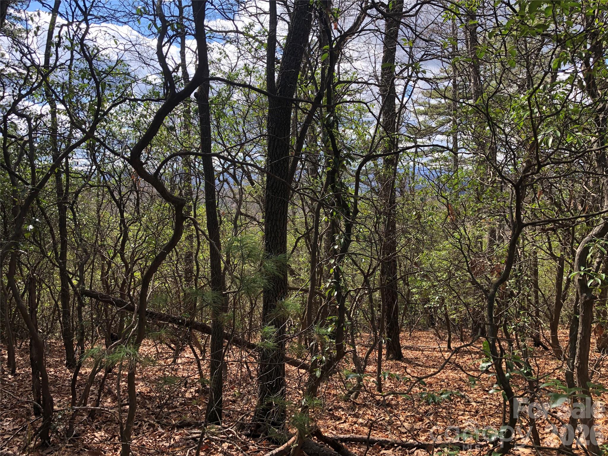 Tbd Bobcat Mountain Road Purlear NC 28665