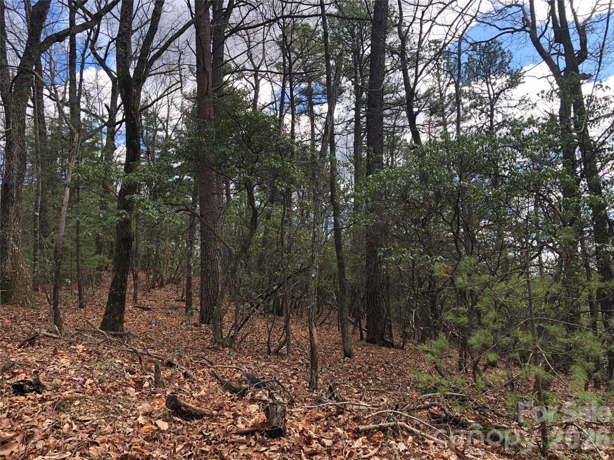 Tbd Bobcat Mountain Road Purlear NC 28665