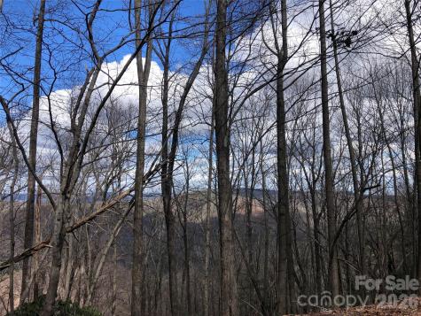 Tbd Bobcat Mountain Road Purlear NC 28665