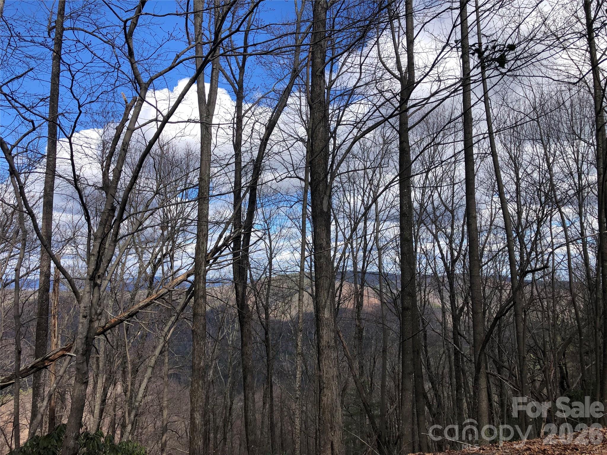 Tbd Bobcat Mountain Road Purlear NC 28665