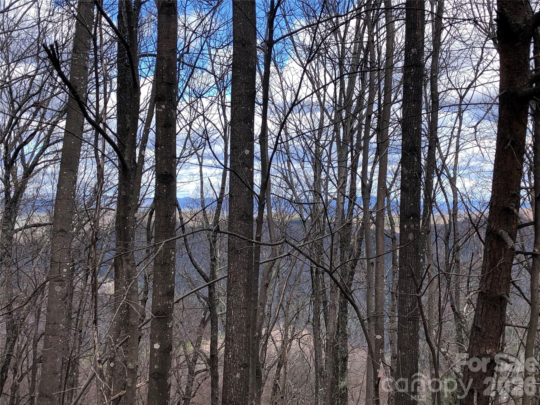 Tbd Bobcat Mountain Road Purlear NC 28665