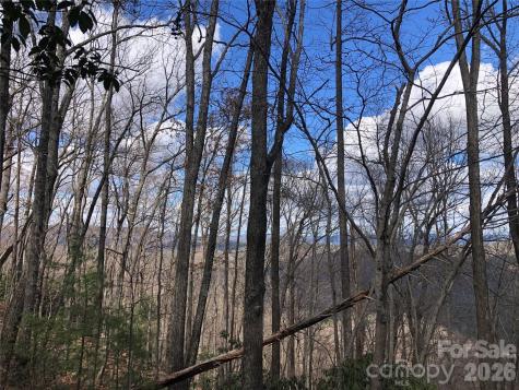 Tbd Bobcat Mountain Road Purlear NC 28665