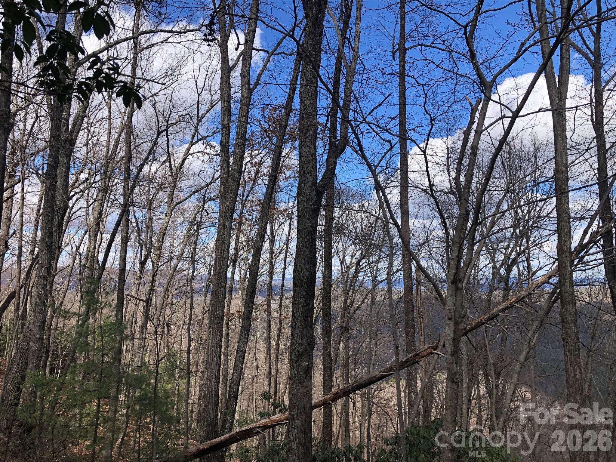 Tbd Bobcat Mountain Road Purlear NC 28665