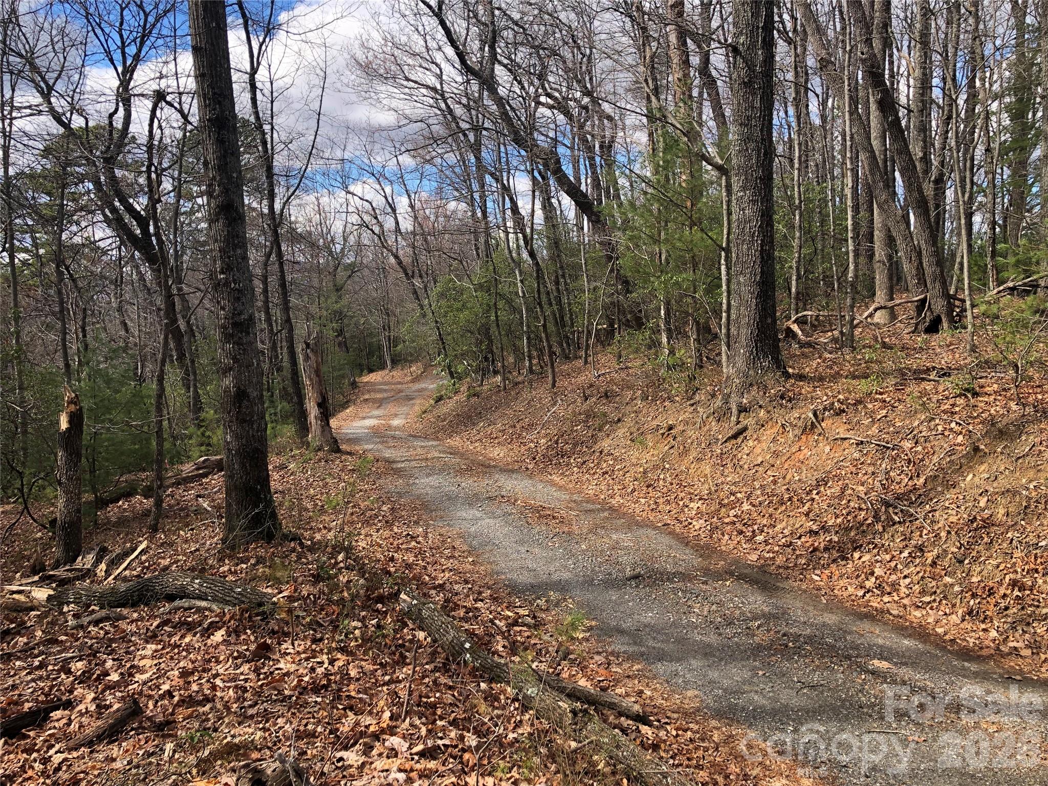 Tbd Bobcat Mountain Road Purlear NC 28665