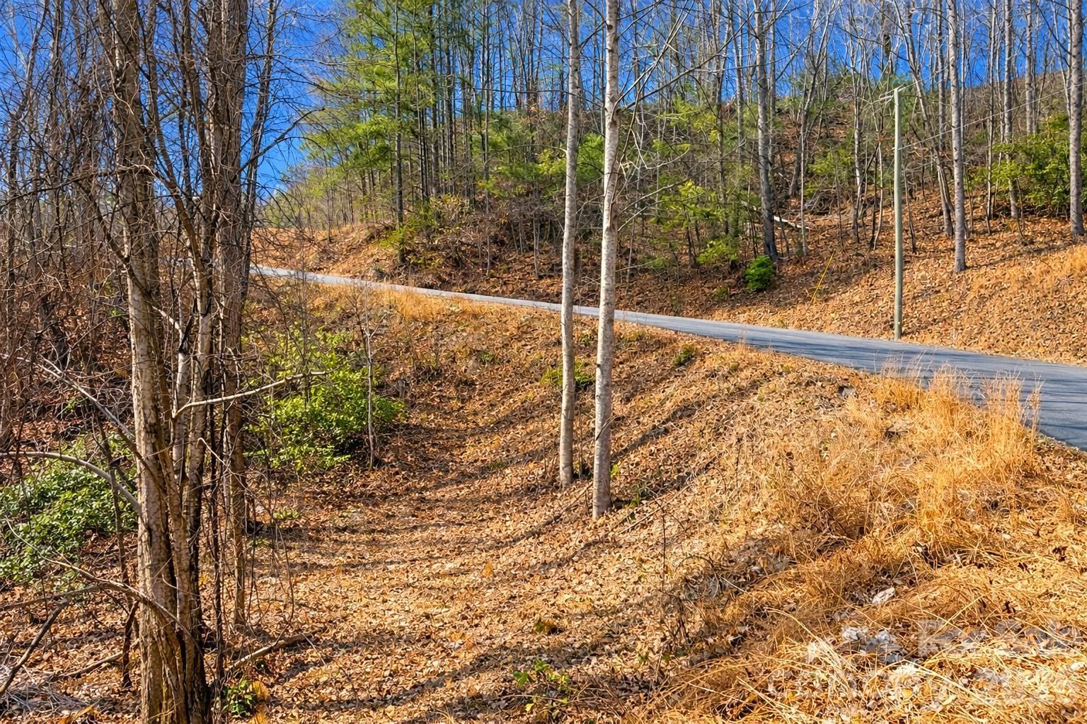 00 Mars Mountain Road Boomer NC 28606