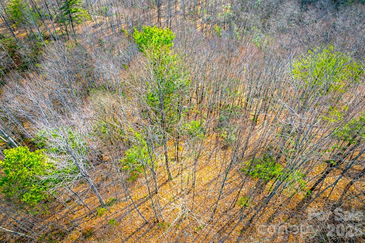 00 Mars Mountain Road Boomer NC 28606