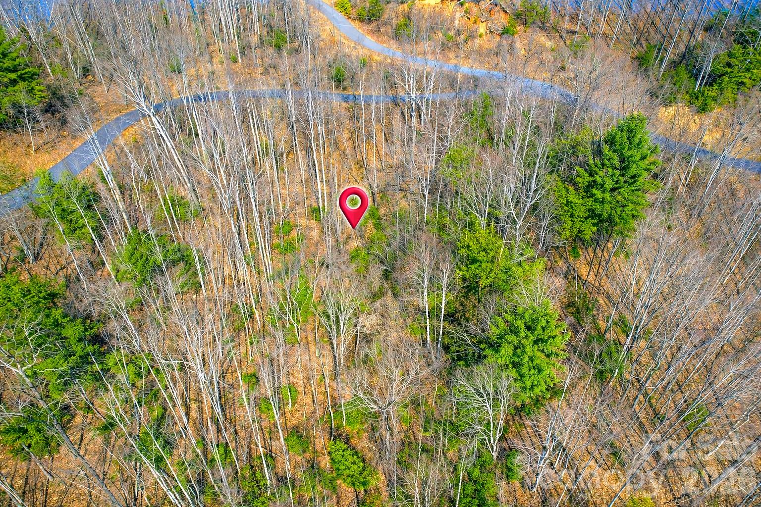 00 Mars Mountain Road Boomer NC 28606
