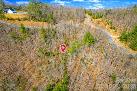 00 Mars Mountain Road Boomer NC 28606