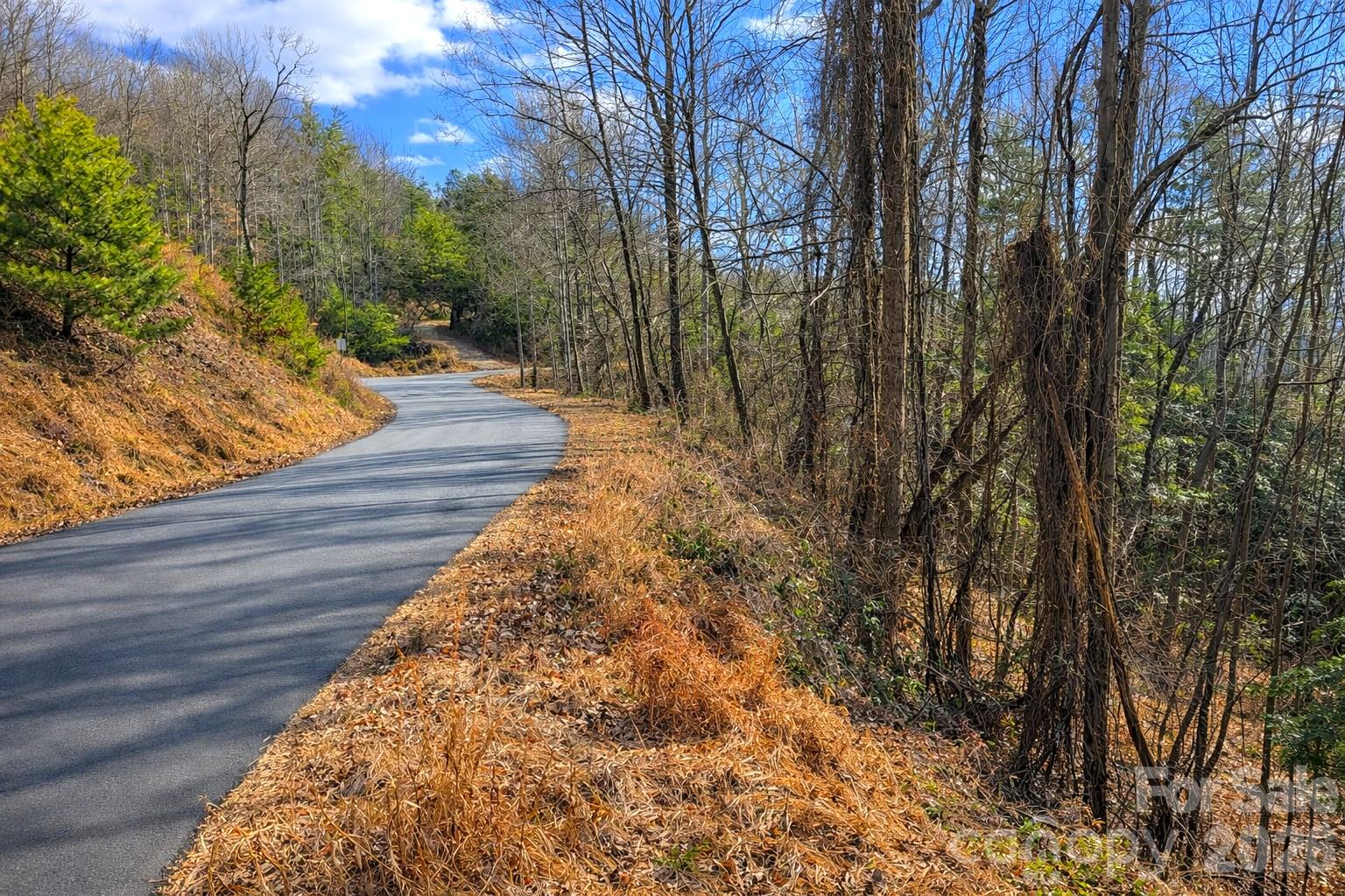 00 Mars Mountain Road Boomer NC 28606