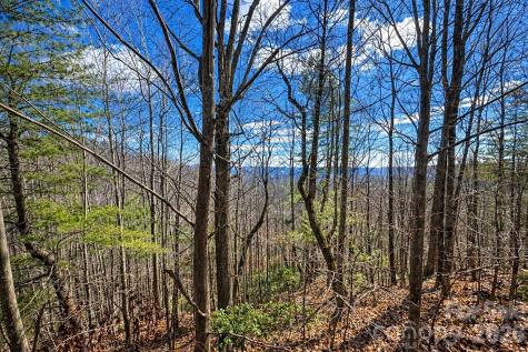 00 Mars Mountain Road Boomer NC 28606