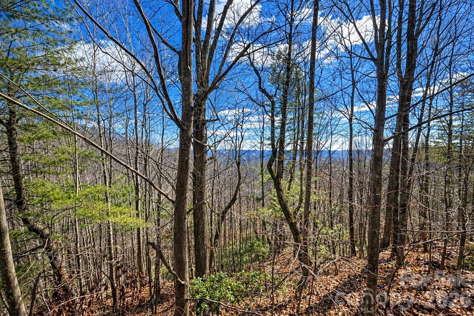 00 Mars Mountain Road Boomer NC 28606