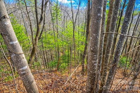 00 Mars Mountain Road Boomer NC 28606