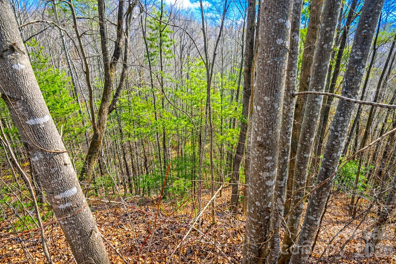 00 Mars Mountain Road Boomer NC 28606